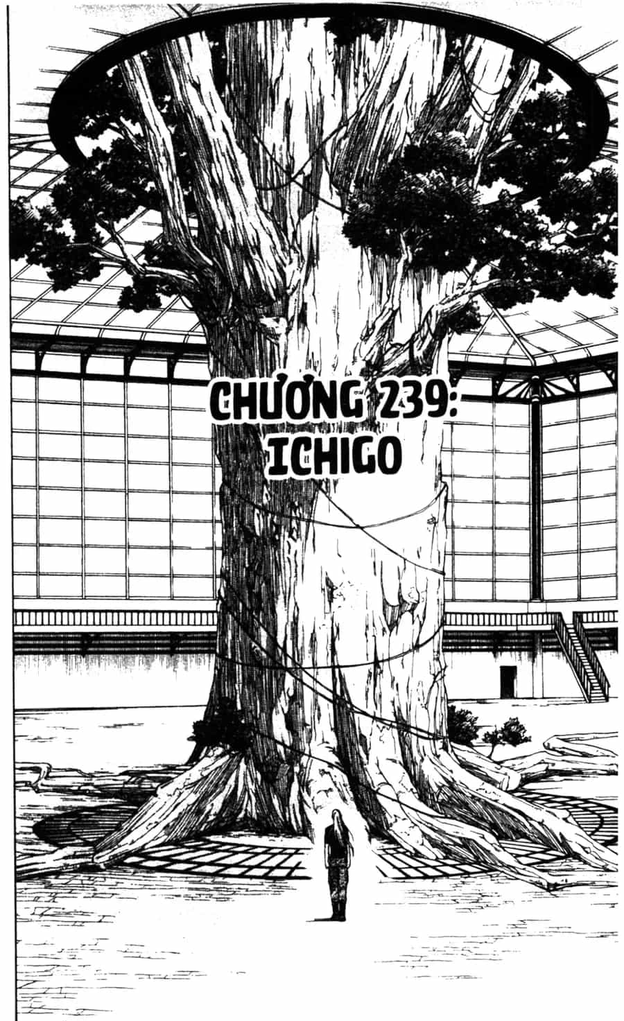 Kết Giới Sư - Chương 239 - ảnh 2