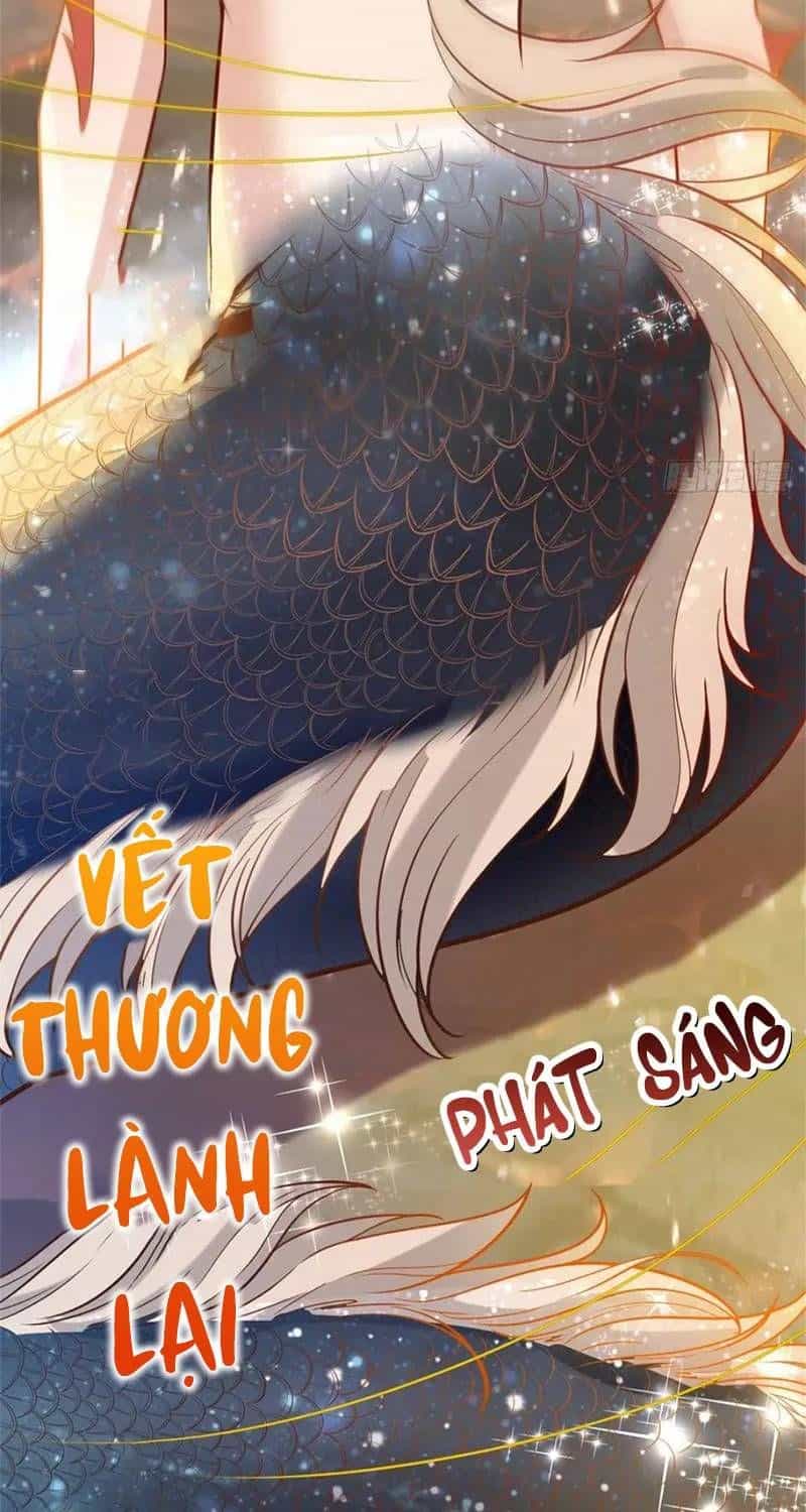 Khi Bác Sĩ Mở Hack - Chương 4 - ảnh 23