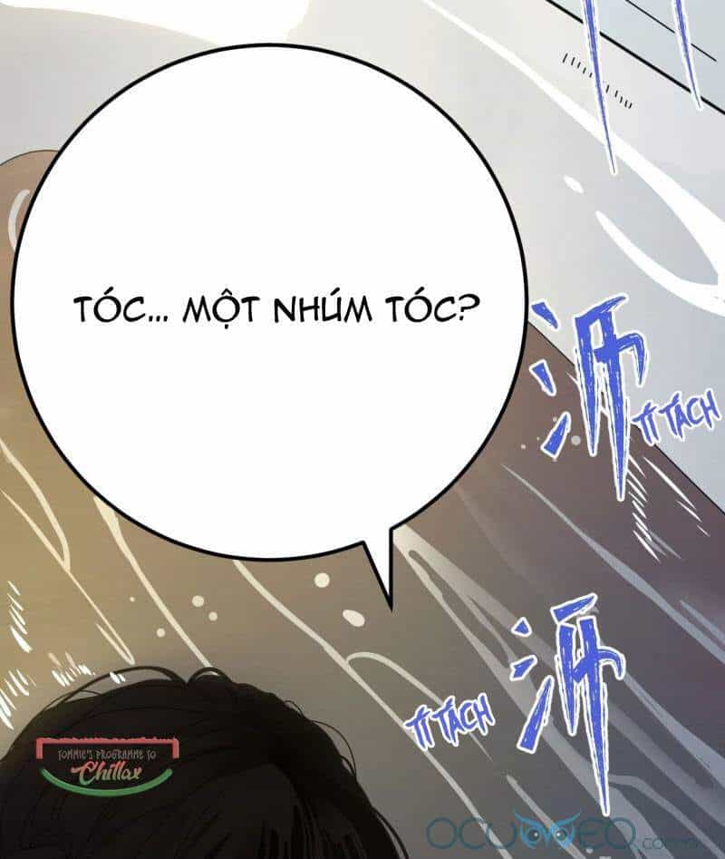 Khi Đóa Hoa Sẫm Màu Nở Rộ - Chương 1 - ảnh 29