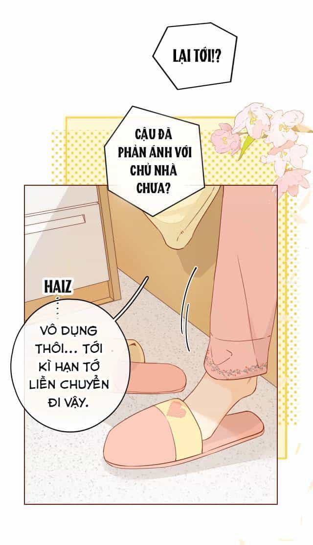 Khó Dỗ Dành - Chương 1 - ảnh 23