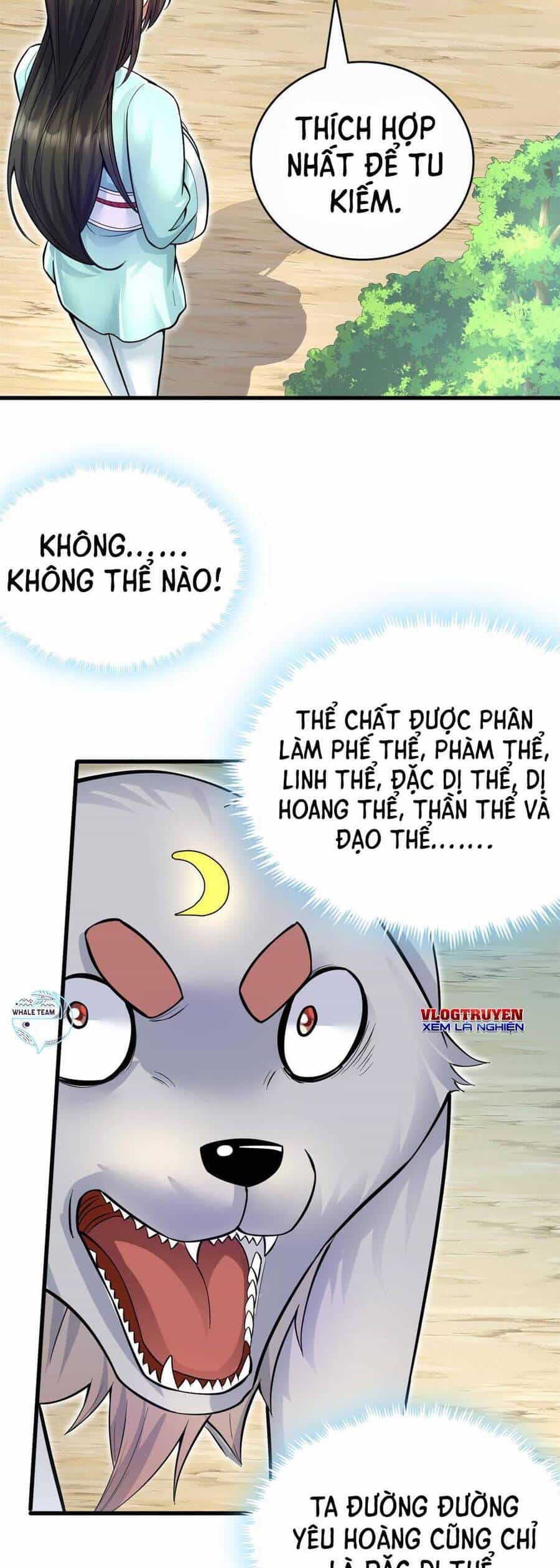Khởi Đầu Có Kiếm Vực, Ta Sẽ Trở Thành Kiếm Thần - Chương 15 - ảnh 19