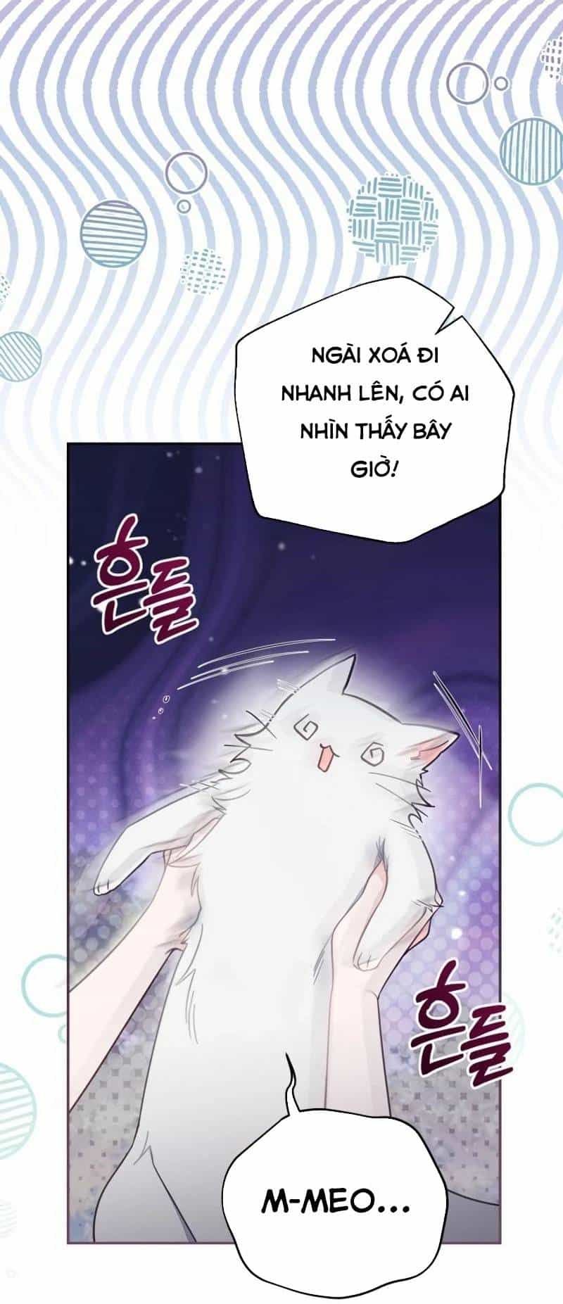 Không Có Nơi Nào Dành Cho Công Chúa Giả Mạo - Chương 69 - ảnh 71