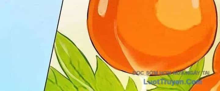 Không Gian Đặc Biệt Của Luật Sư Bình Dị - Chương 22 - ảnh 18
