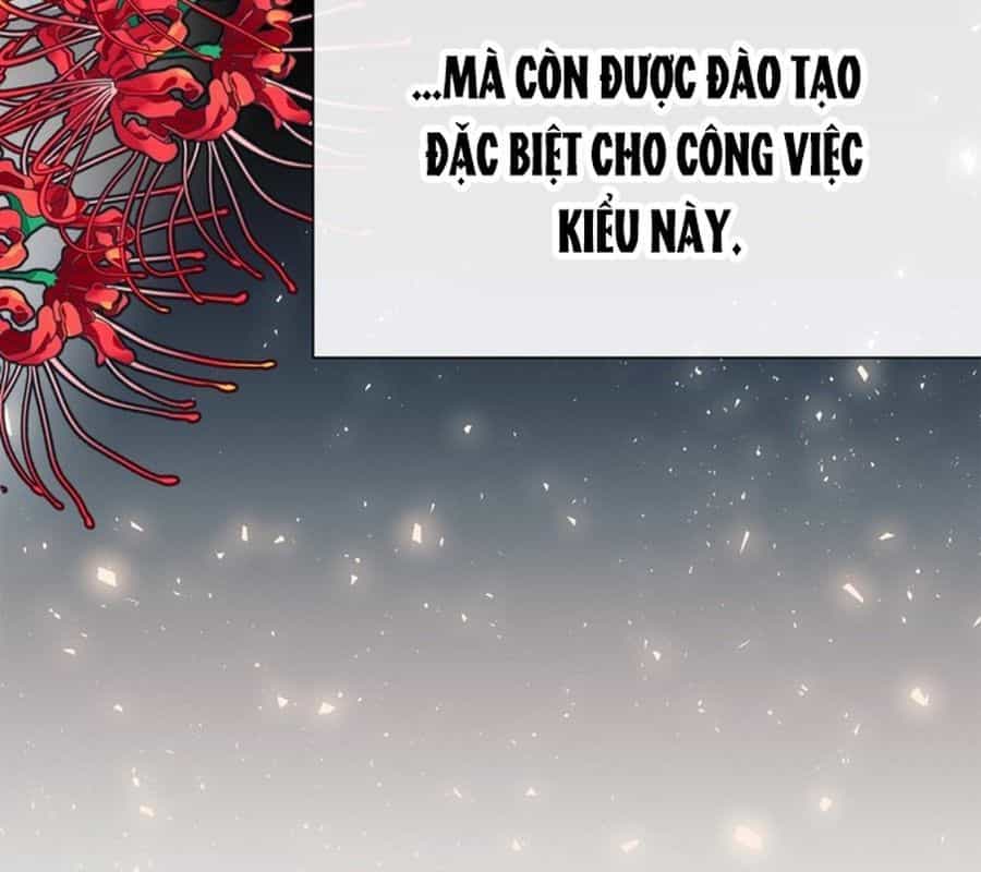 Không Phải Câu Chuyện Chuyển Sinh Thông Thường - Chương 11 - ảnh 63