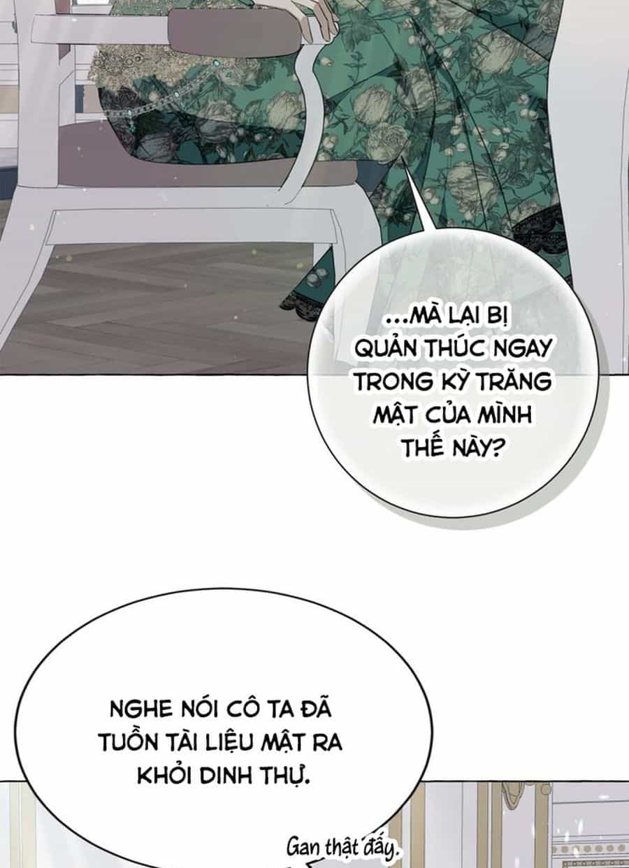 Không Phải Câu Chuyện Chuyển Sinh Thông Thường - Chương 17 - ảnh 9