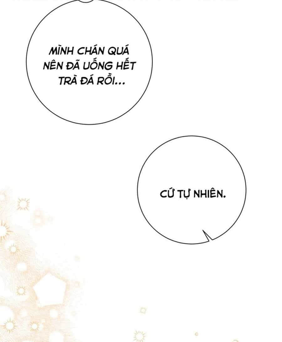 Không Phải Câu Chuyện Chuyển Sinh Thông Thường - Chương 24 - ảnh 208