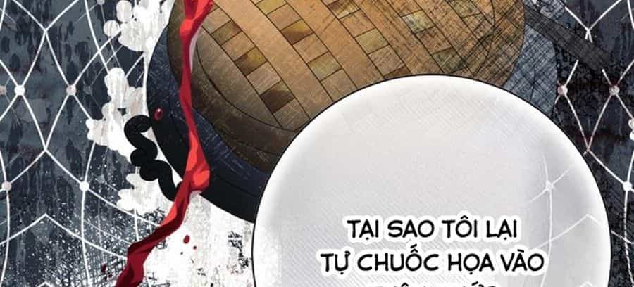 Không Phải Câu Chuyện Chuyển Sinh Thông Thường - Chương 28 - ảnh 45
