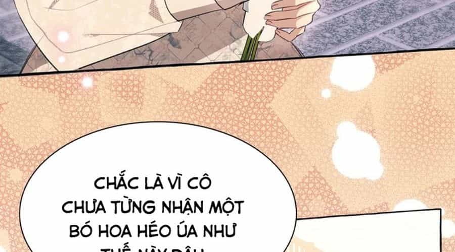 Không Phải Câu Chuyện Chuyển Sinh Thông Thường - Chương 36 - ảnh 32