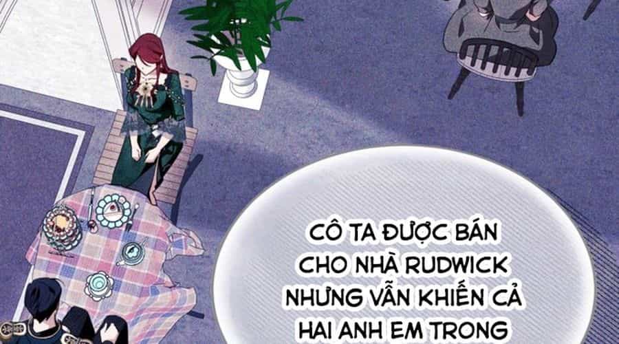 Không Phải Câu Chuyện Chuyển Sinh Thông Thường - Chương 49 - ảnh 125