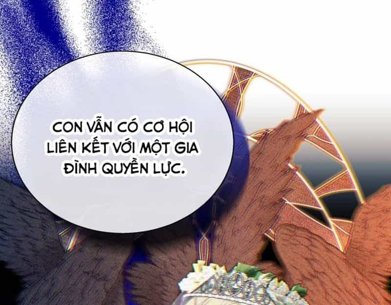 Không Phải Câu Chuyện Chuyển Sinh Thông Thường - Chương 68 - ảnh 37