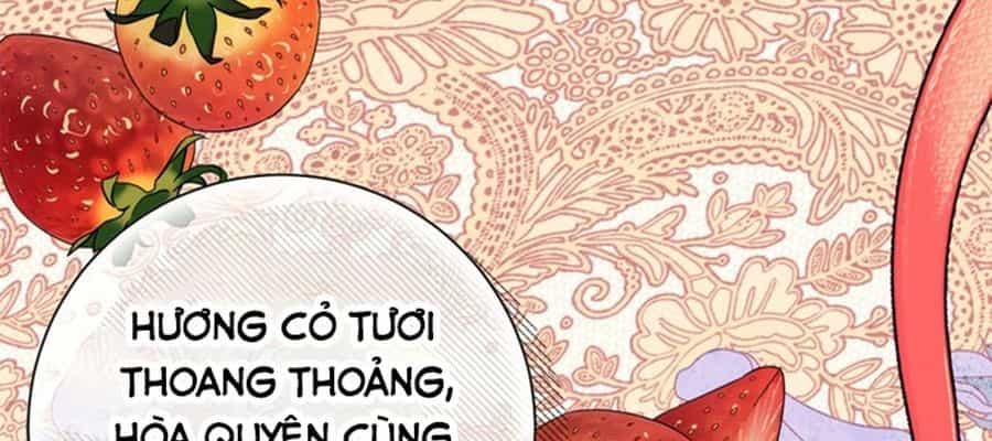 Không Phải Câu Chuyện Chuyển Sinh Thông Thường - Chương 9 - ảnh 16