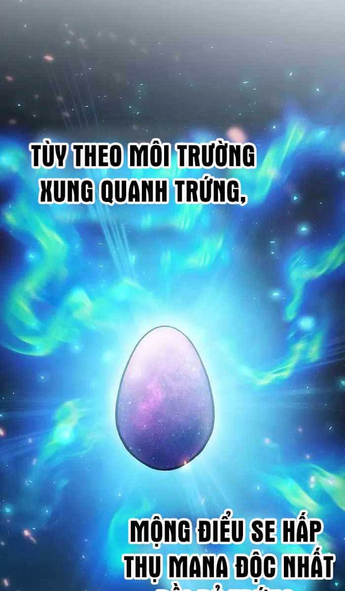 Kiếm Sĩ Thiên Tài Của Học Viện - Chương 11 - ảnh 33