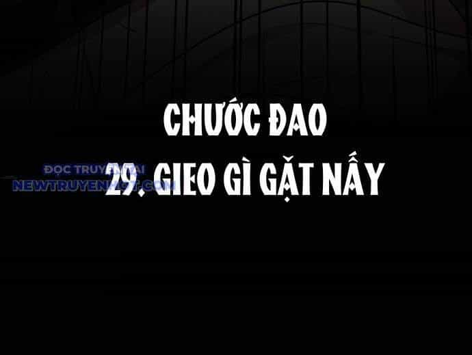 Kiếm Vương - Chương 29 - ảnh 30