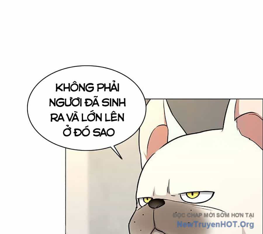 Kiếm Vương - Chương 55 - ảnh 20