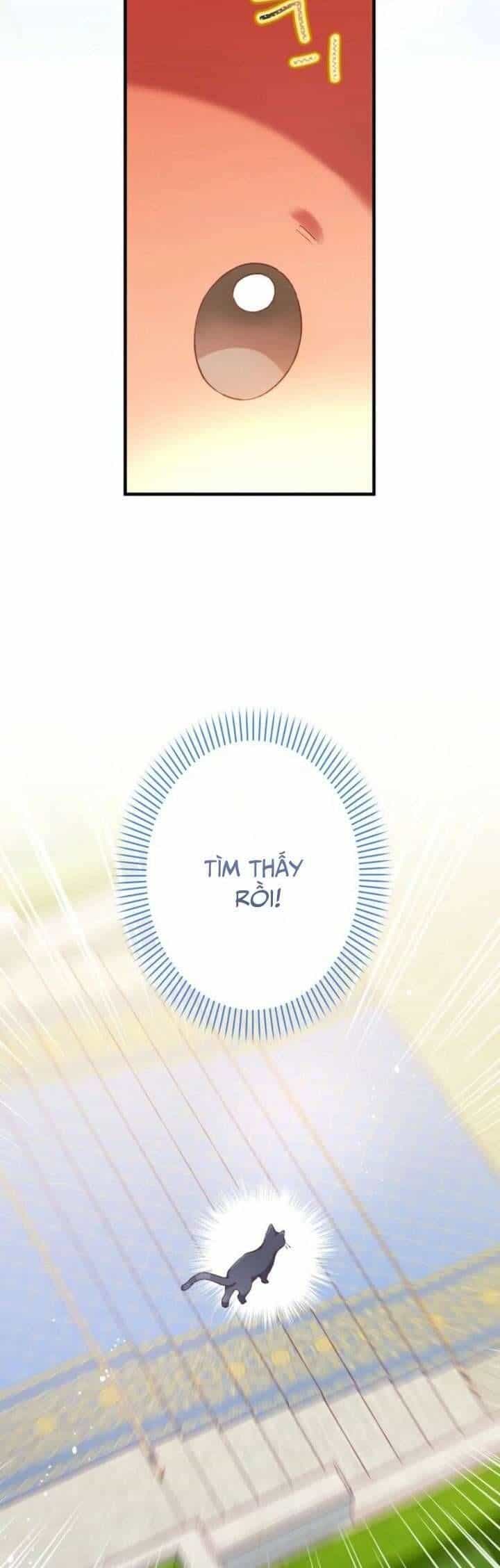 Kiếp Này Em Sẽ Không Sống Dưới Cái Bóng Của Người Chị Song Sinh - Chương 12 - ảnh 48