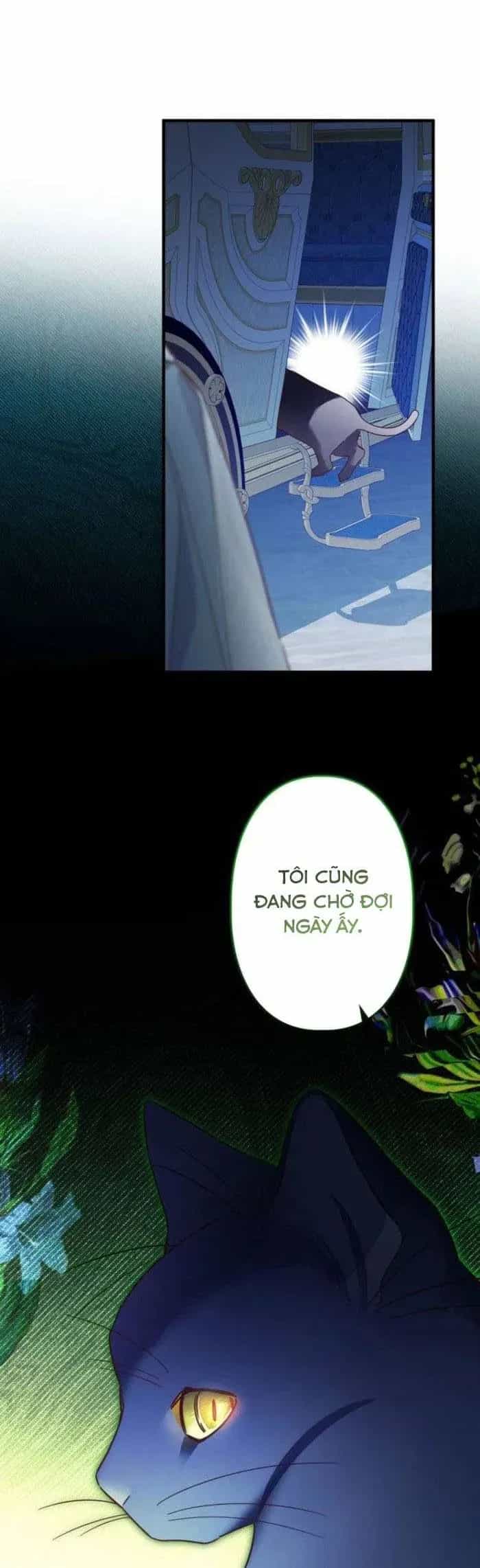 Kiếp Này Em Sẽ Không Sống Dưới Cái Bóng Của Người Chị Song Sinh - Chương 32 - ảnh 36