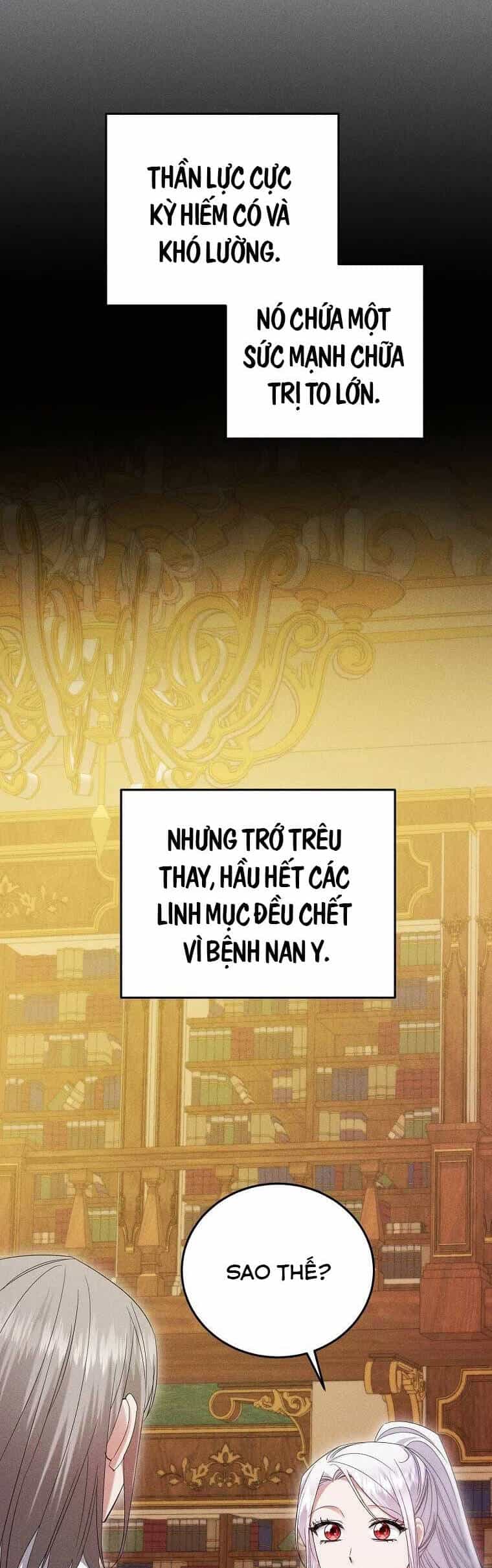 Kiếp Này Ta Sẽ Không Sống Như Một Anh Hùng Nữa Đâu! Có Lẽ Ta Sẽ Nghỉ Hưu! - Chương 17 - ảnh 17