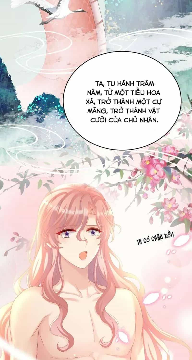Kiều Phu Có Hỉ - Chương 77 - ảnh 13
