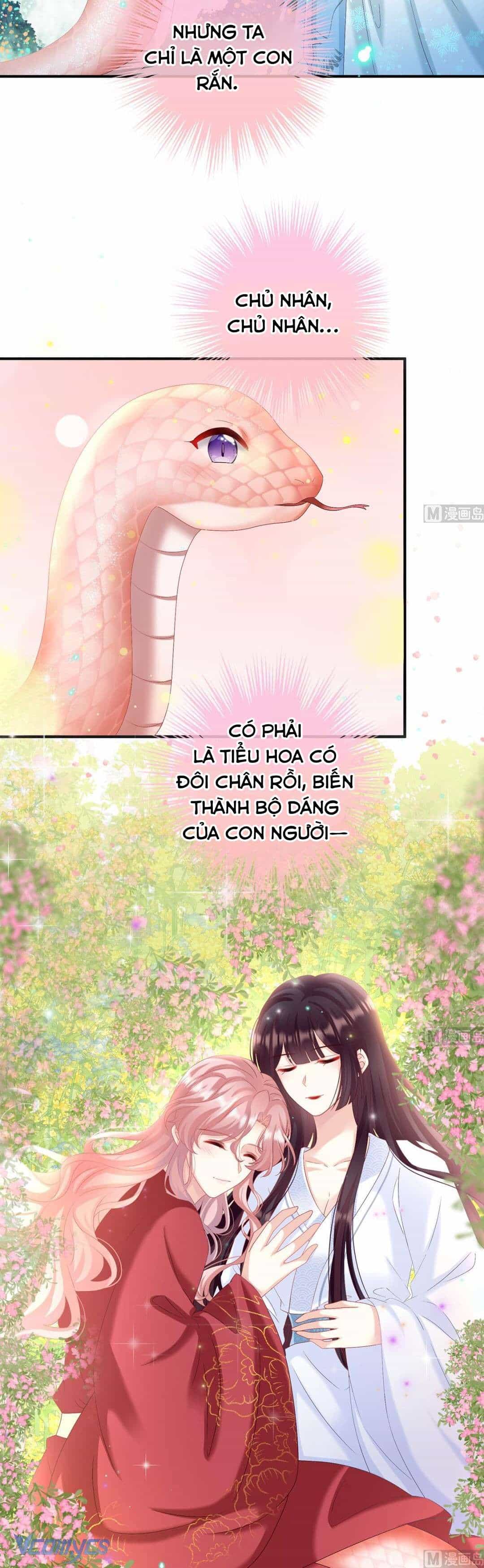 Kiều Phu Có Hỉ - Chương 85 - ảnh 16