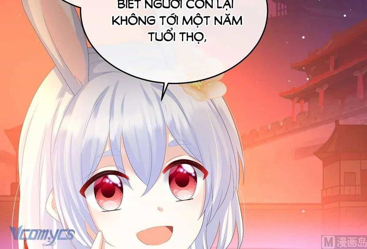 Kiều Phu Có Hỉ - Chương 96 - ảnh 18