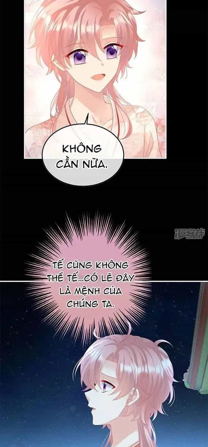 Kiều Phu Có Hỉ - Chương 124 - ảnh 5