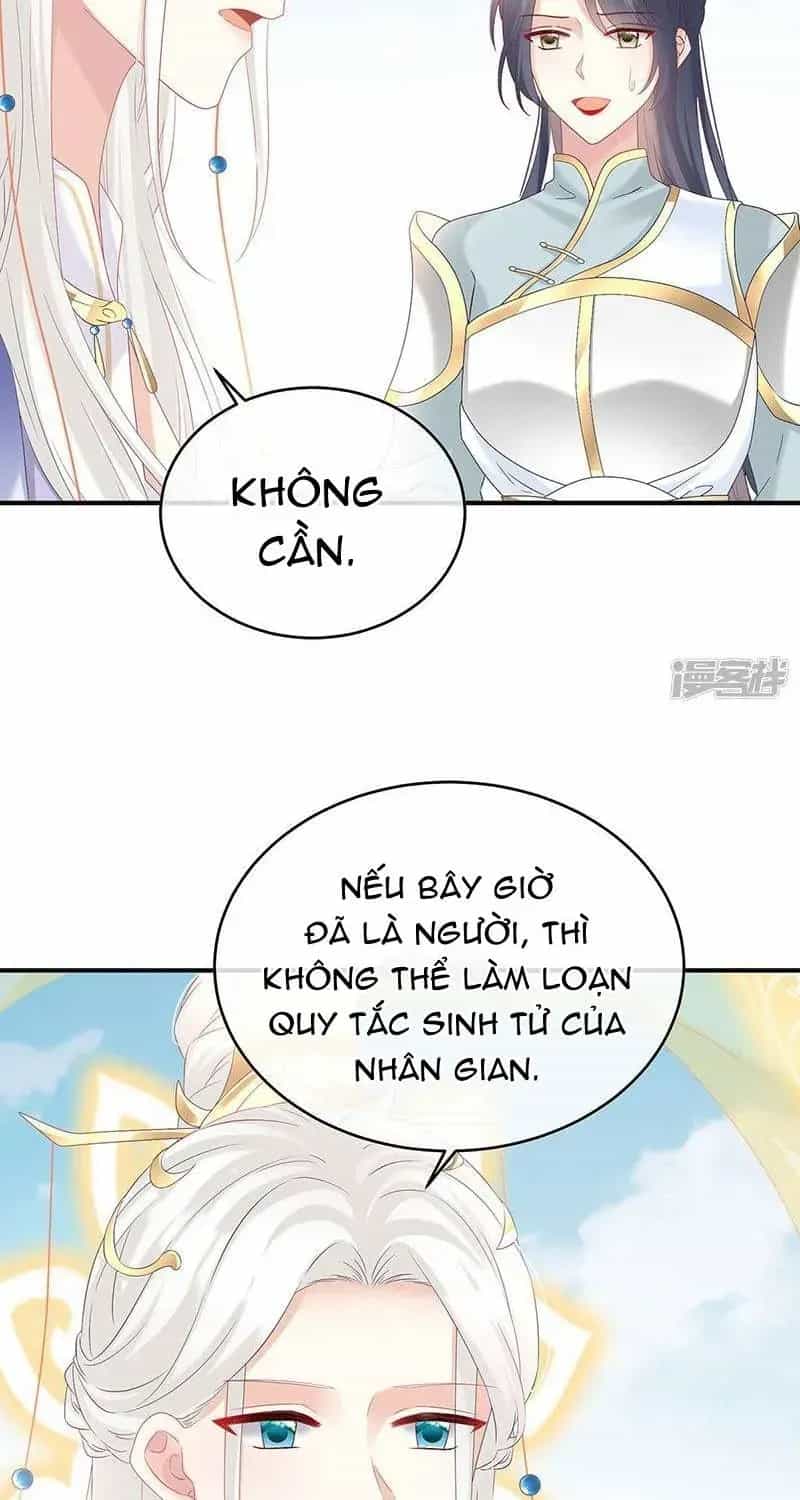 Kiều Phu Có Hỉ - Chương 138 - ảnh 16