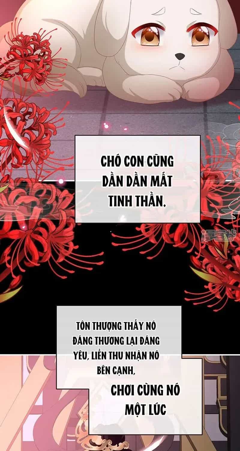 Kiều Phu Có Hỉ - Chương 141 - ảnh 20