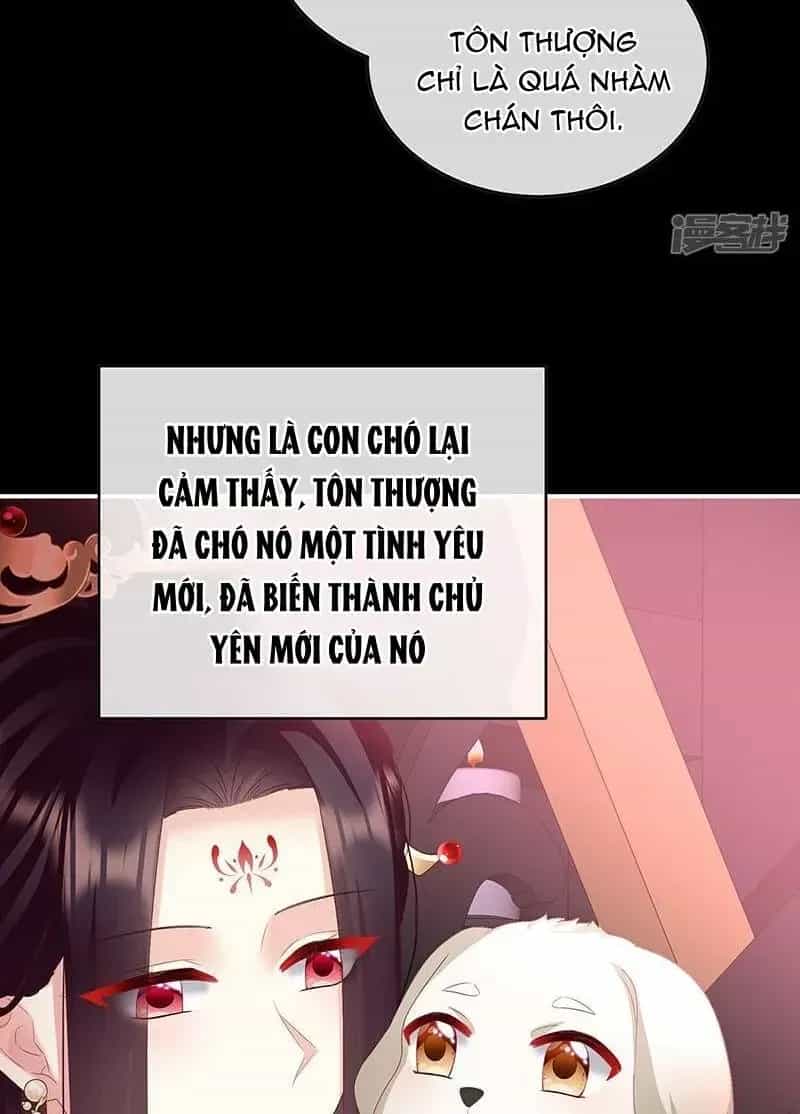Kiều Phu Có Hỉ - Chương 141 - ảnh 23