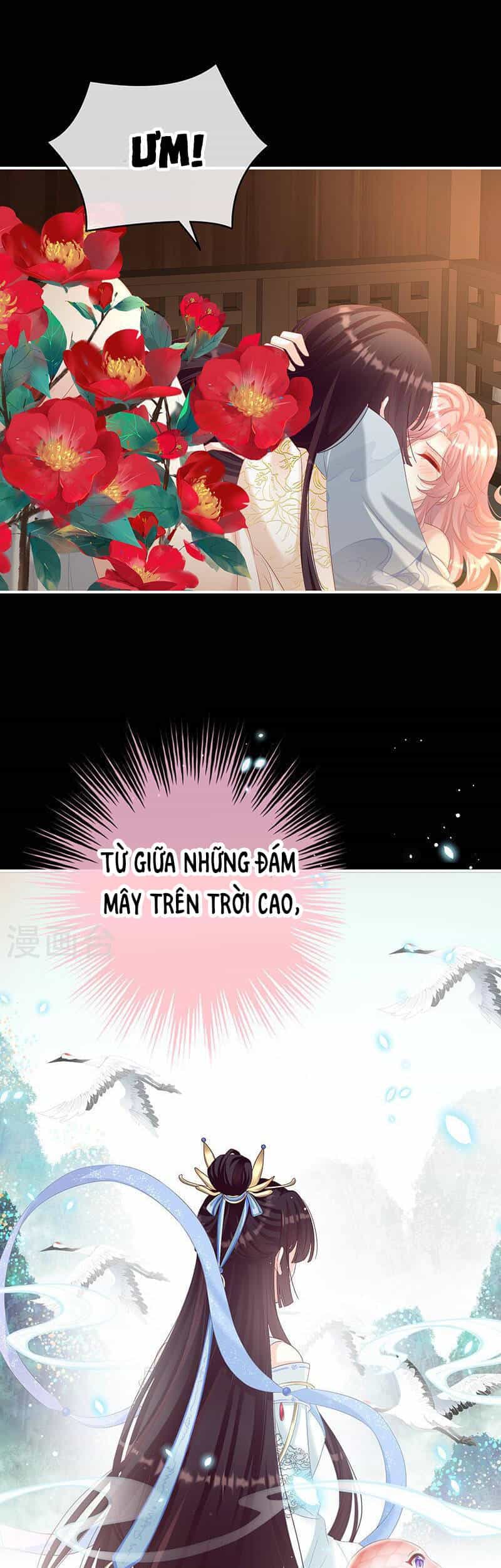Kiều Phu Có Hỉ - Chương 67 - ảnh 24