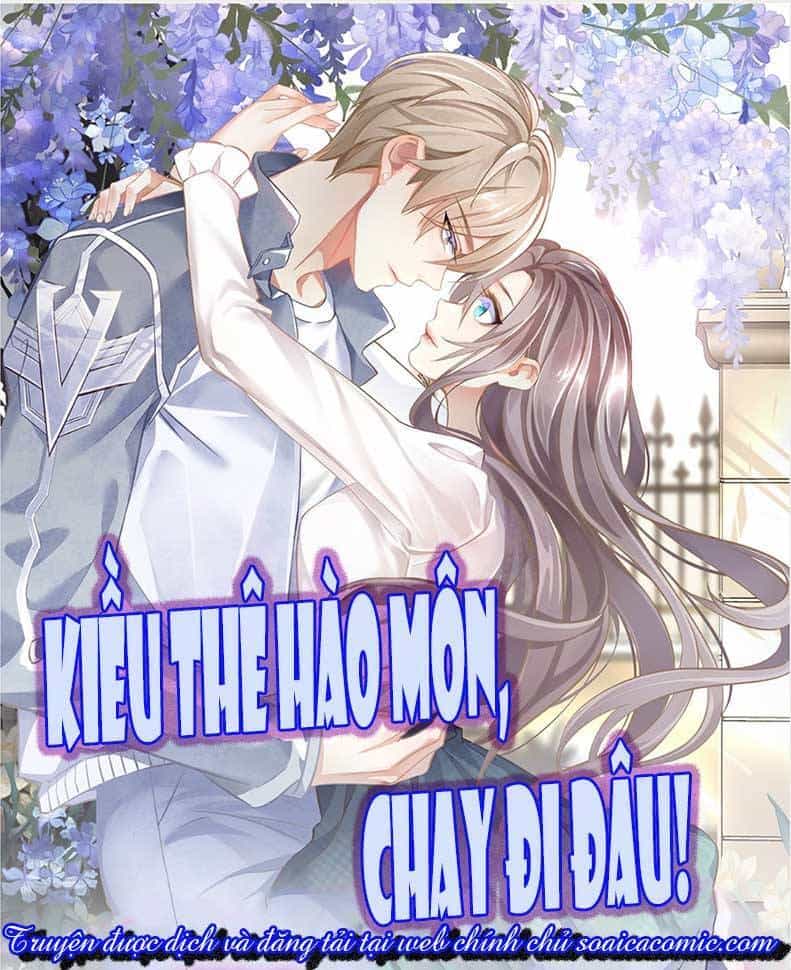 Kiều Thê Hào Môn Chạy Đi Đâu - Chương 2 - ảnh 1