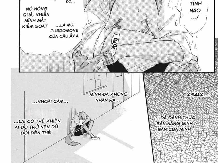 Kimi To Koete Koi Ni Naru - Chương 3 - ảnh 13