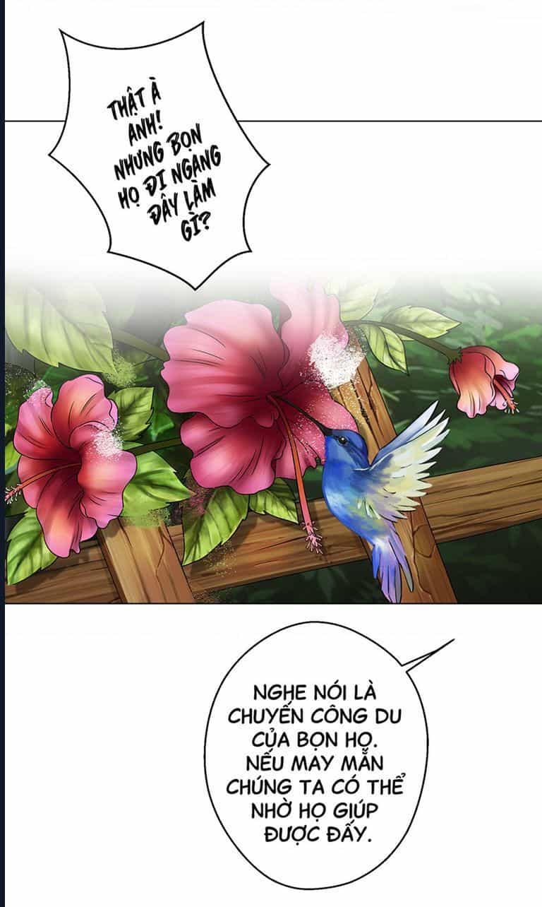 Kinhcomic Phù Thủy Kiến Tạo | Sự Trỗi Dậy Của Loài Pan - Chương 1 - ảnh 24