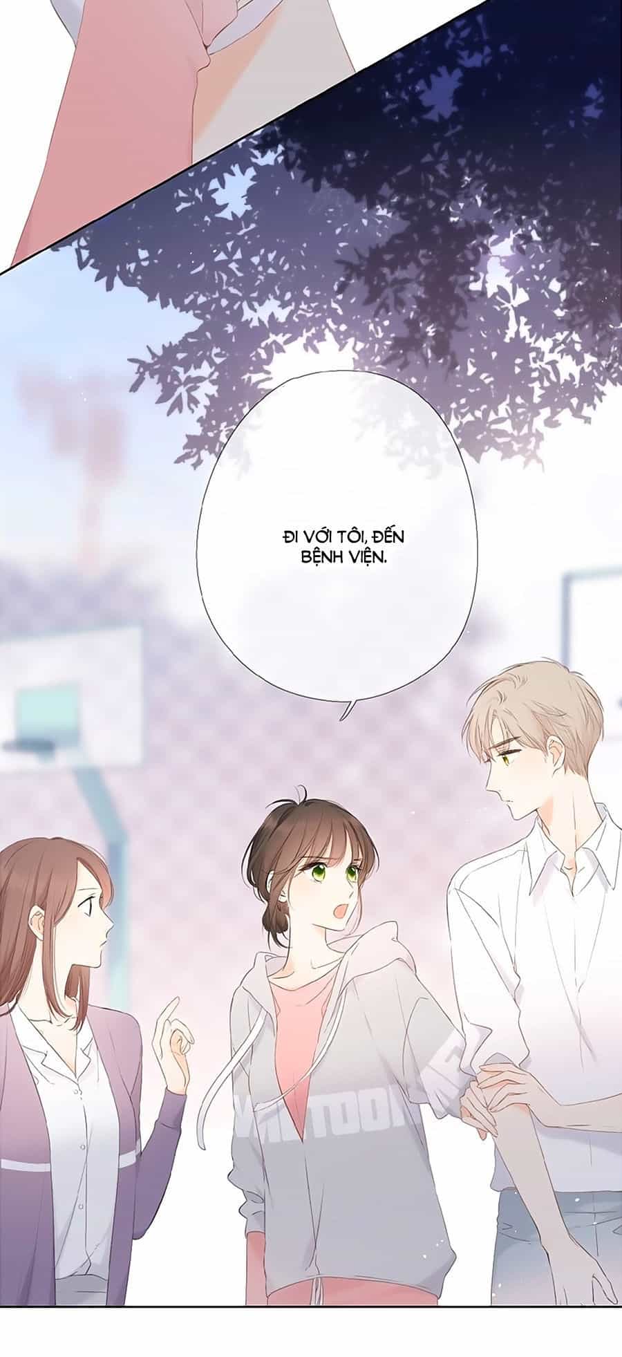 Lại Gặp Được Em - Chương 6 - ảnh 15