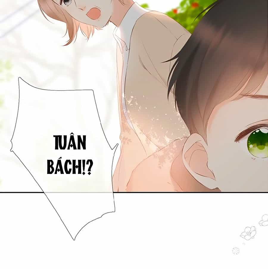 Lại Gặp Được Em - Chương 17 - ảnh 24