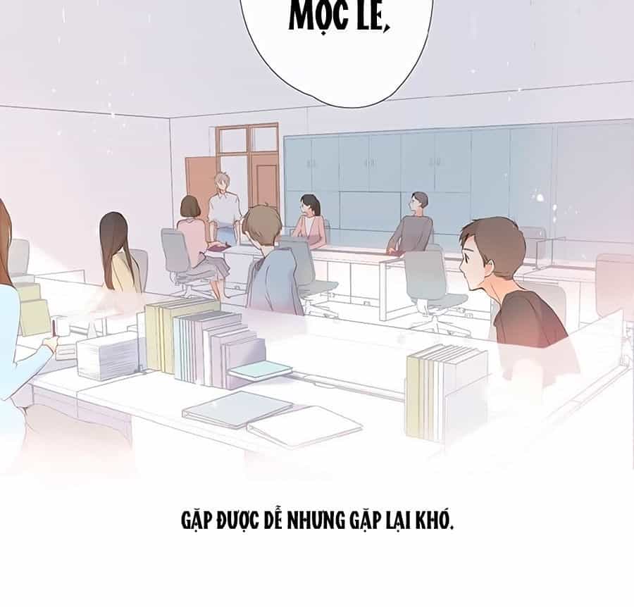 Lại Gặp Được Em - Chương 1 - ảnh 56