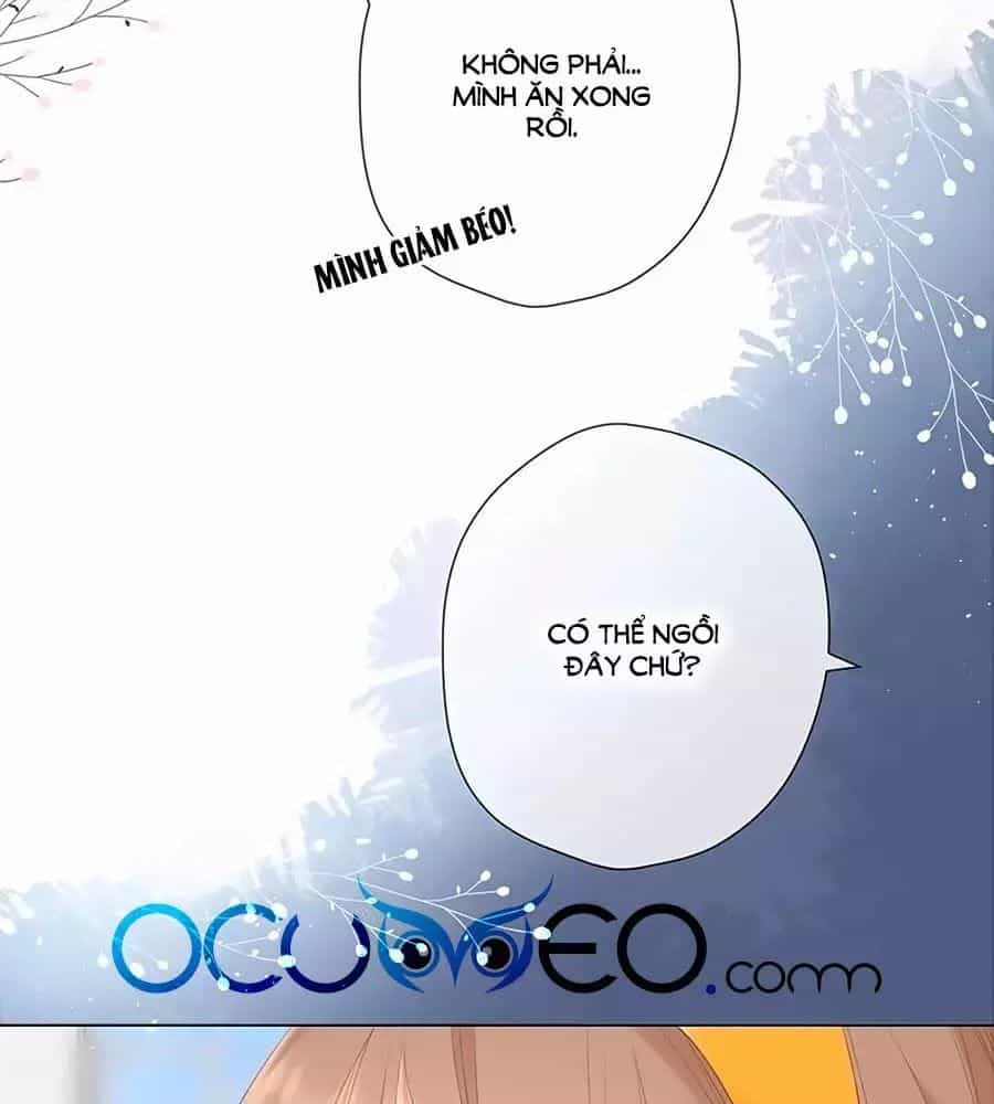 Lại Gặp Được Em - Chương 34 - ảnh 39