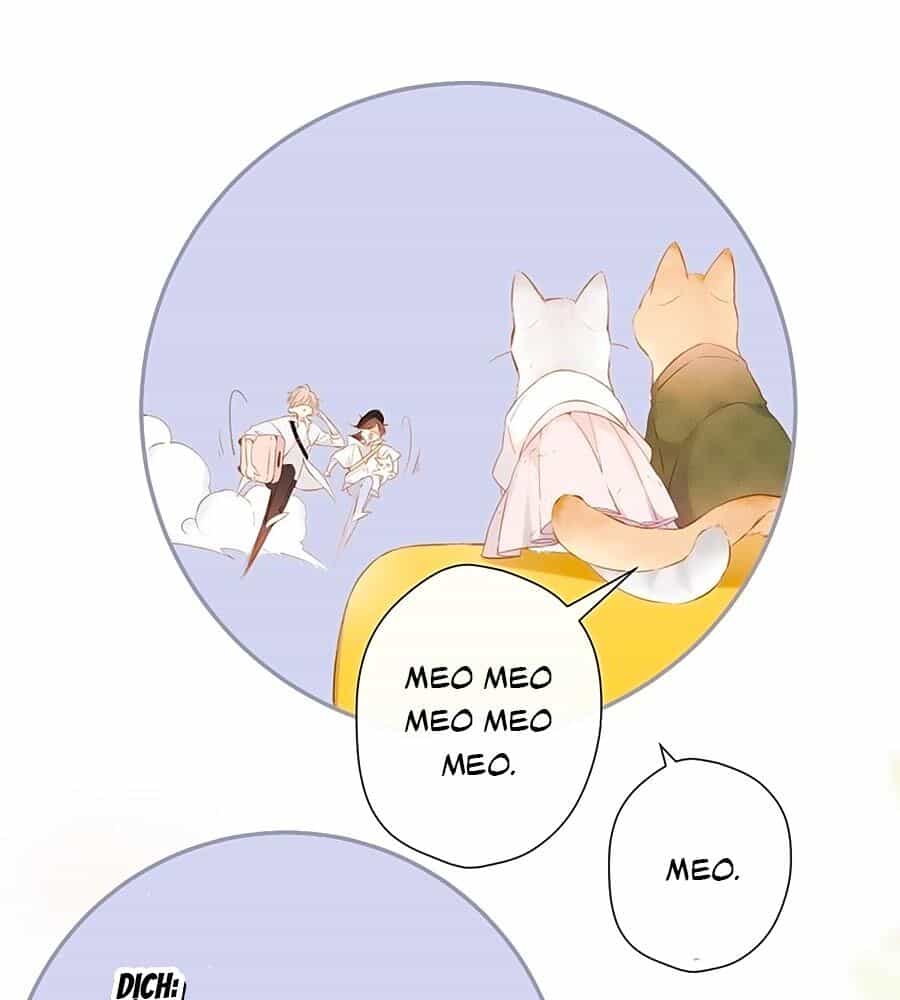 Lại Gặp Được Em - Chương 54.5 - ảnh 9