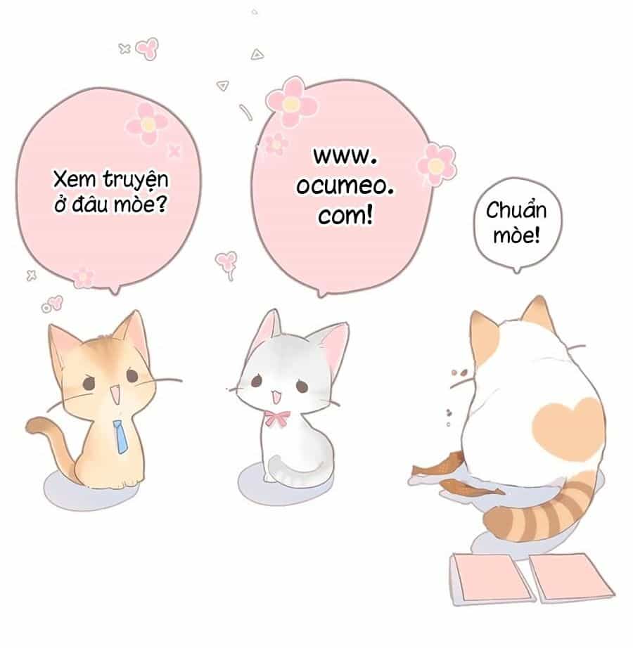 Lại Gặp Được Em - Chương 55 - ảnh 29