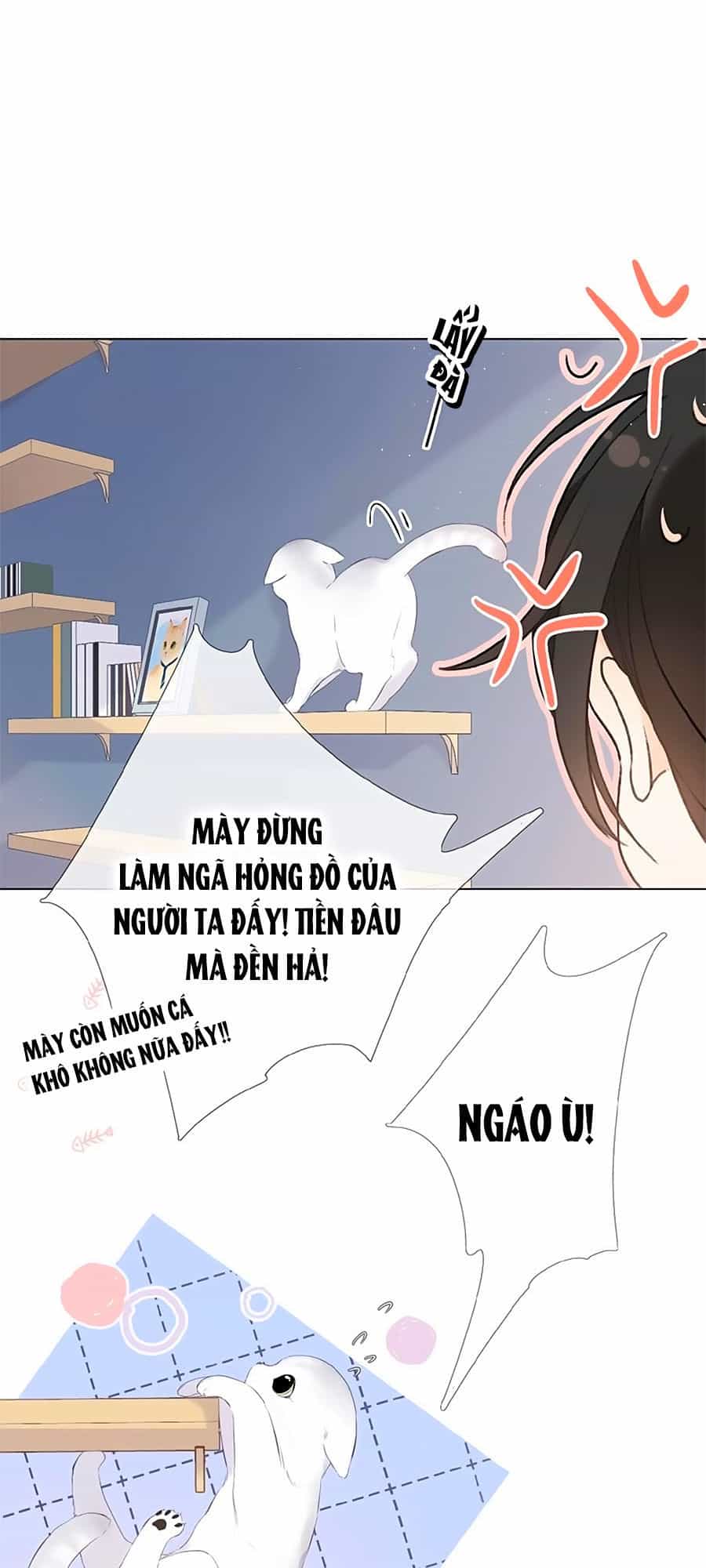 Lại Gặp Được Em - Chương 4 - ảnh 15