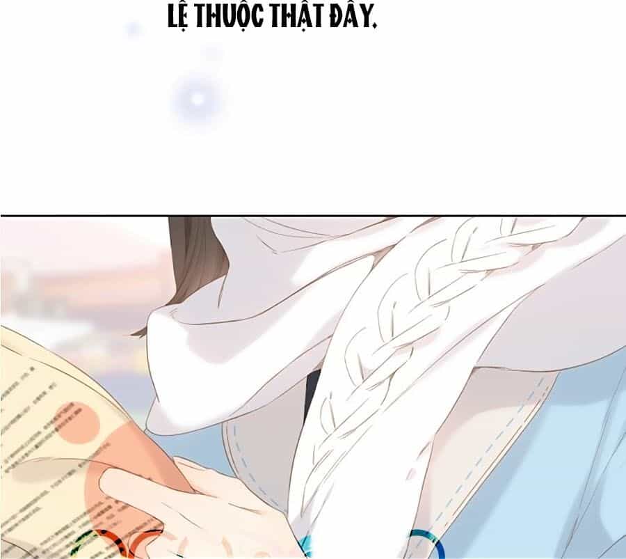 Lại Gặp Được Em - Chương 59 - ảnh 24