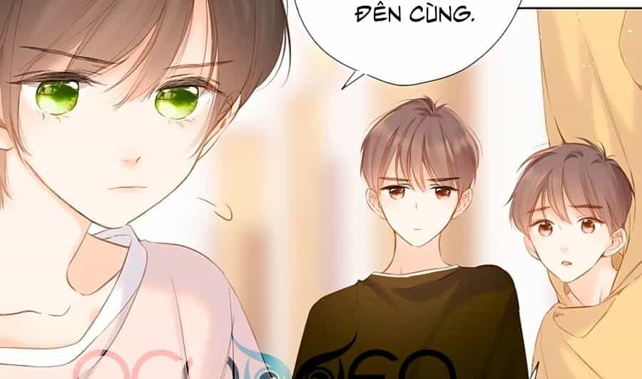 Lại Gặp Được Em - Chương 68 - ảnh 12