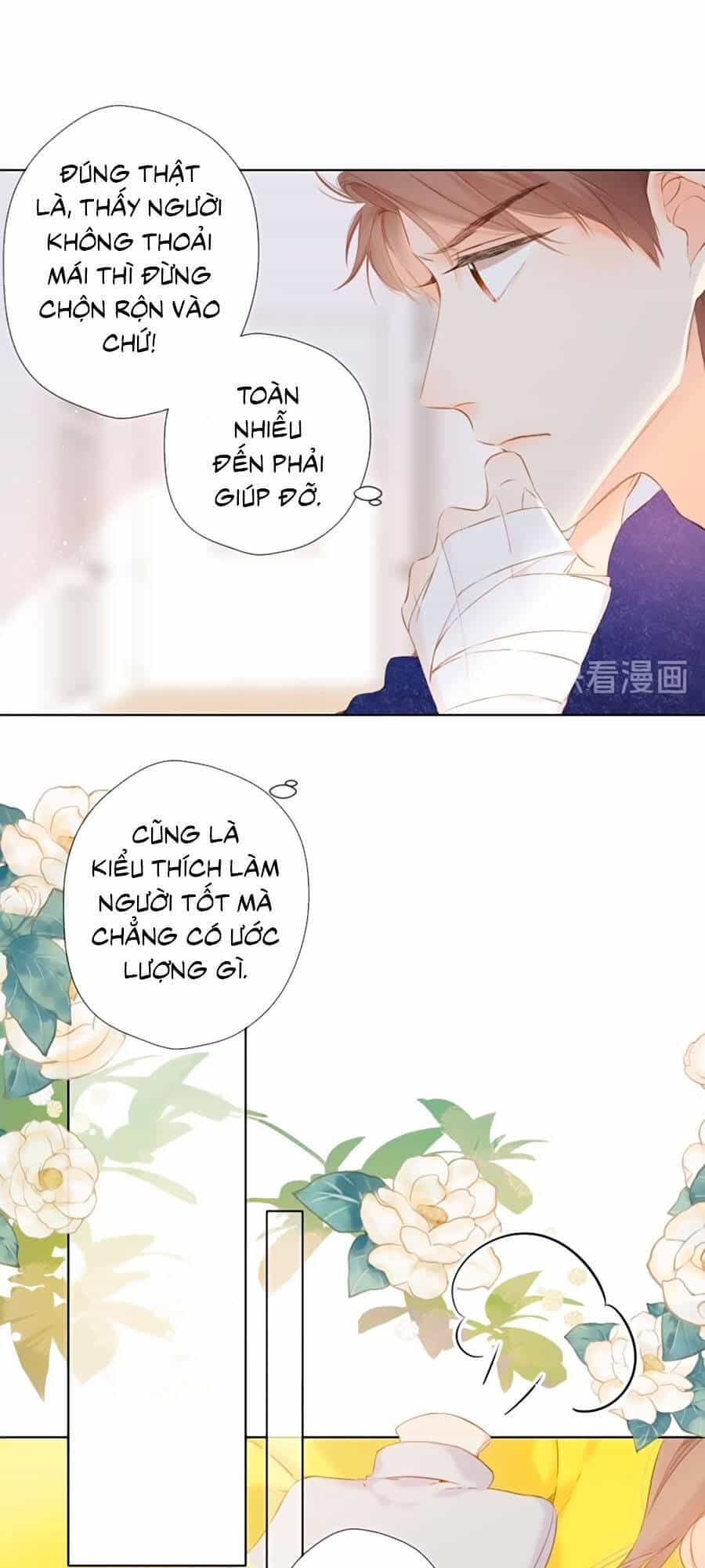 Lại Gặp Được Em - Chương 74 - ảnh 24