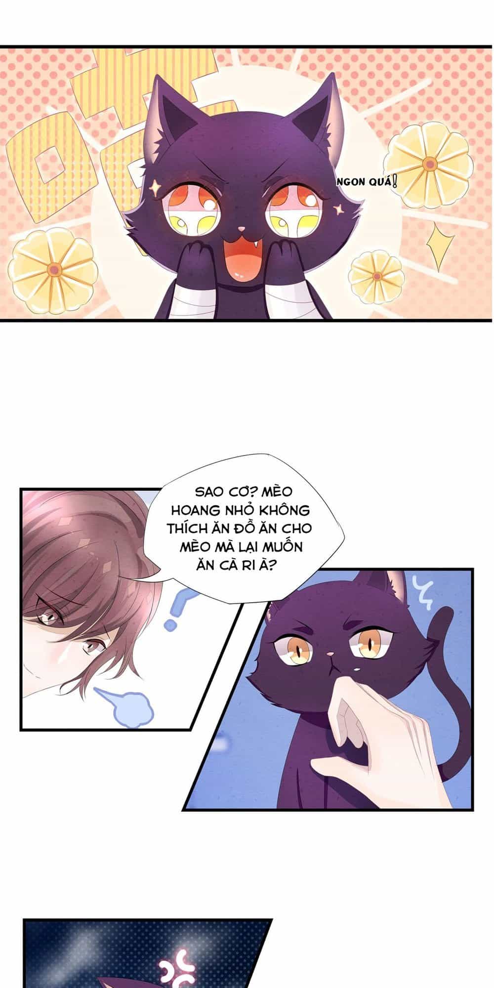 Làm Mèo Của Ta - Chương 2 - ảnh 14
