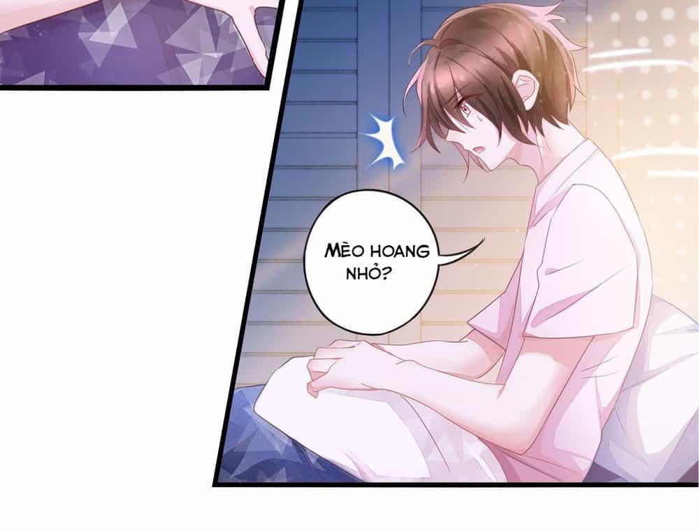 Làm Mèo Của Ta - Chương 3 - ảnh 16