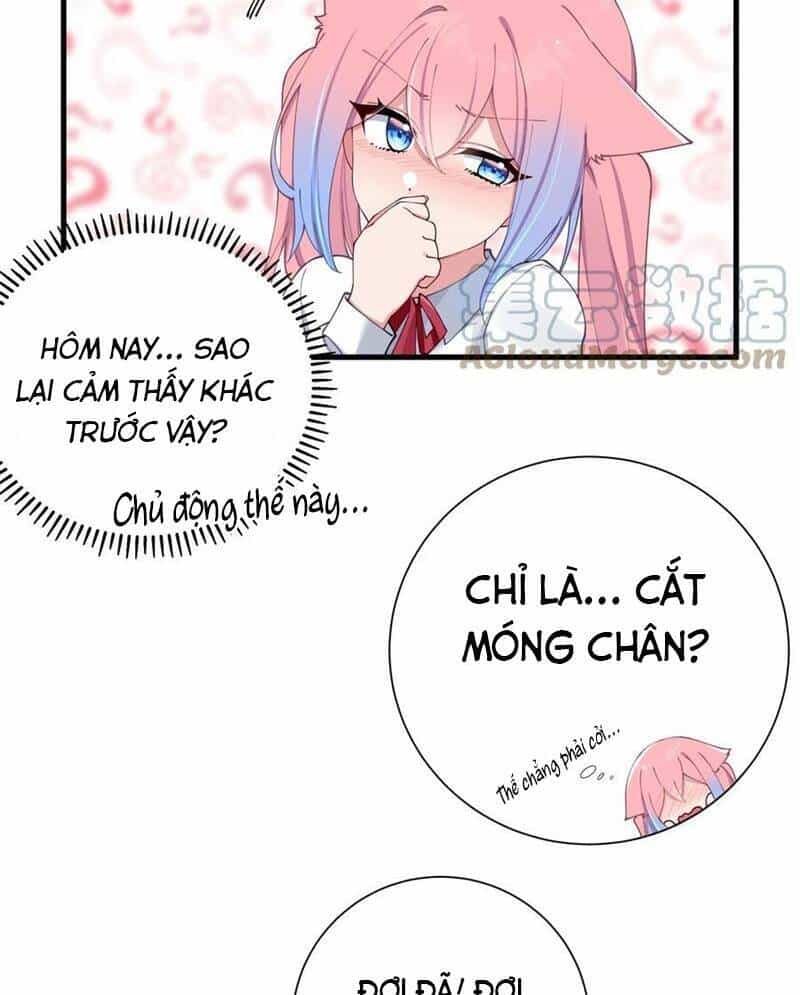 Làm Sao Để Chạy Trốn Dàn Hậu Cung - Chương 69 - ảnh 33