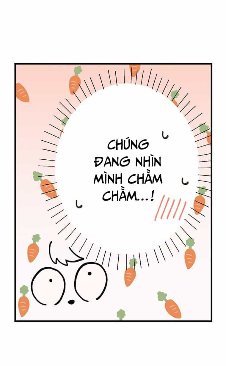 Làm Tình Trong Một Thế Giới Mà Điều Đó Là Điều Cấm Kỵ - Chương 40 - ảnh 12
