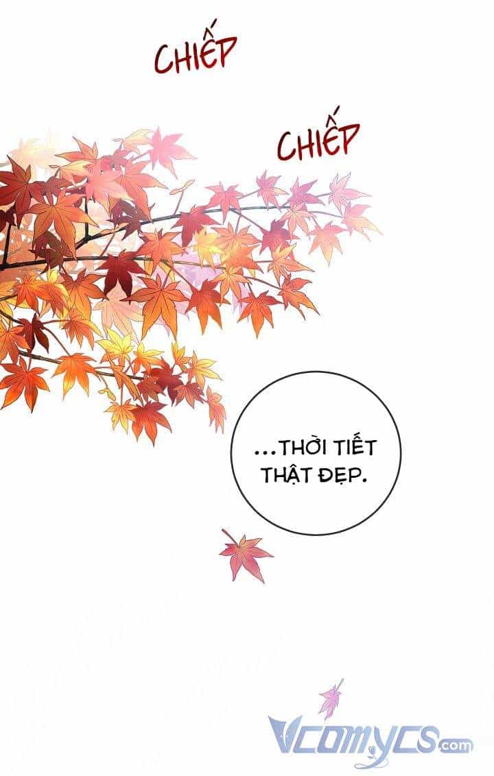 Lần Nữa Toả Sáng - Chương 30 - ảnh 66