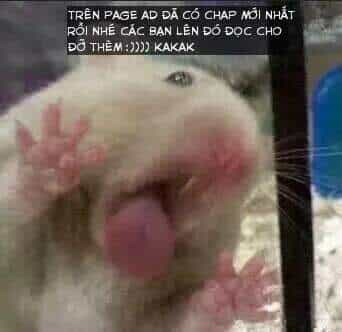 Lão Đại Xuyên Không Thành Tiên Nữ - Chương 55.1 - ảnh 29