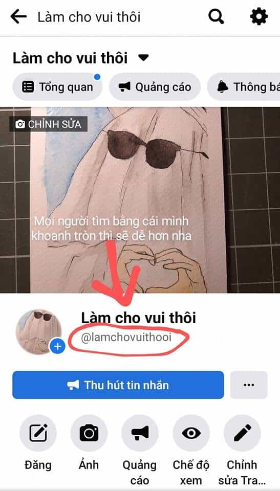 Lão Đại Xuyên Không Thành Tiên Nữ - Chương 83 - ảnh 43