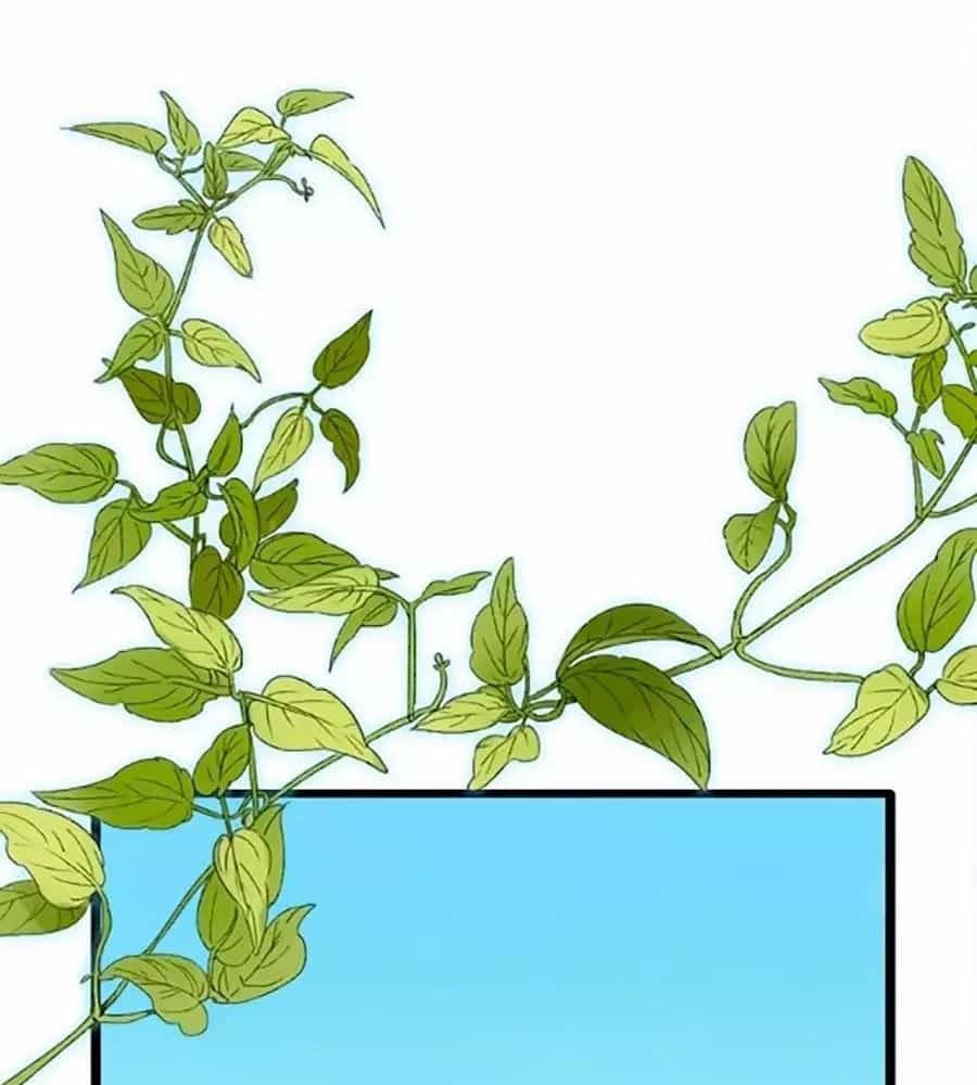 Lệnh Cấm Nghị Tộc 2 Ẩn Diện Trấn - Chương 60 - ảnh 48